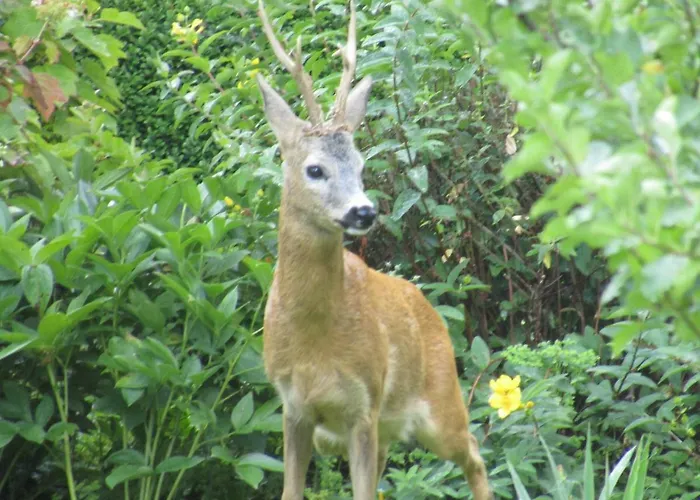 Homestay Kreuthhof *